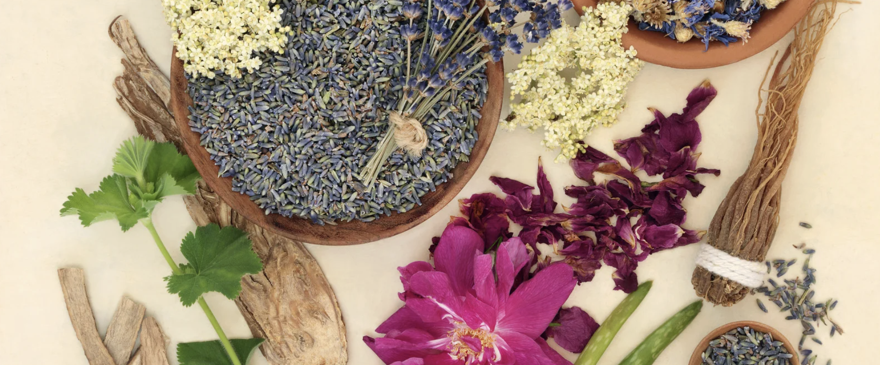 Screenshot 2026-02-27 at 10.35.41 AM