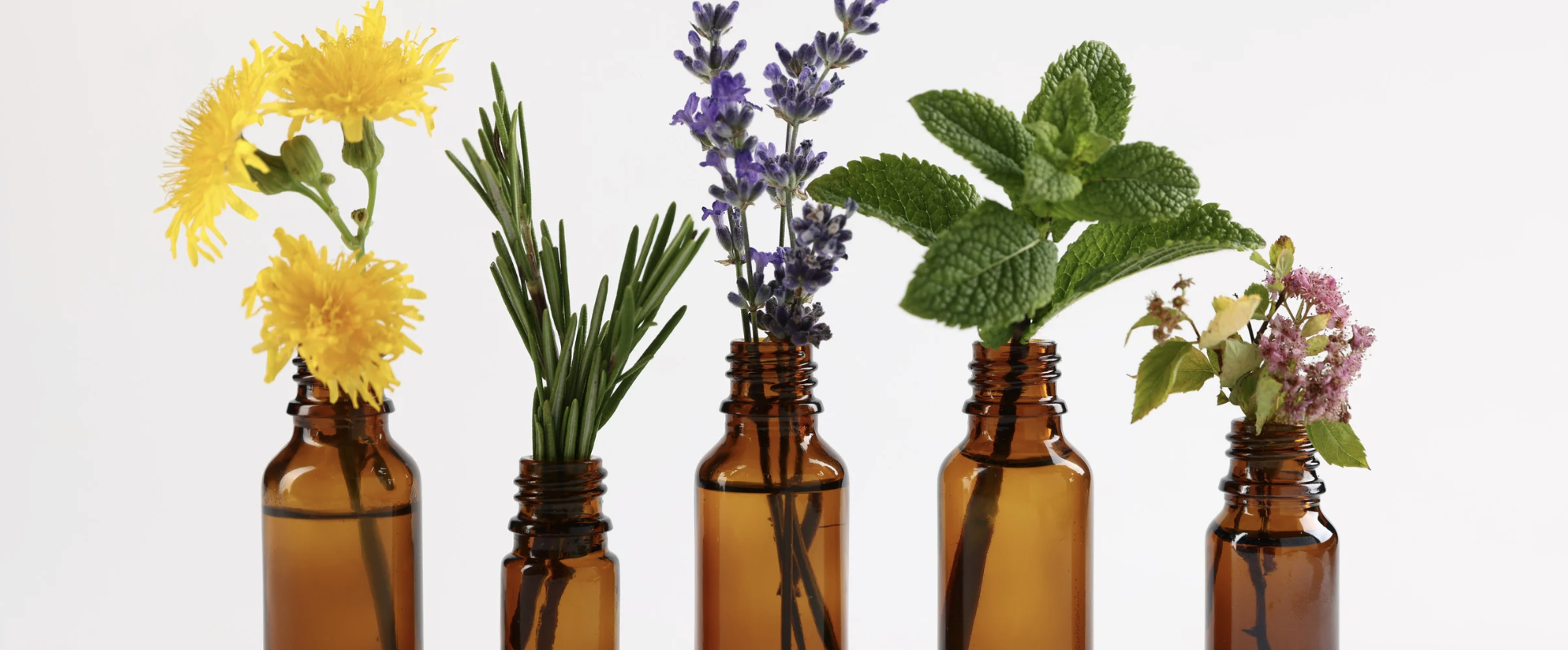 Screenshot 2026-03-03 at 12.03.50 PM