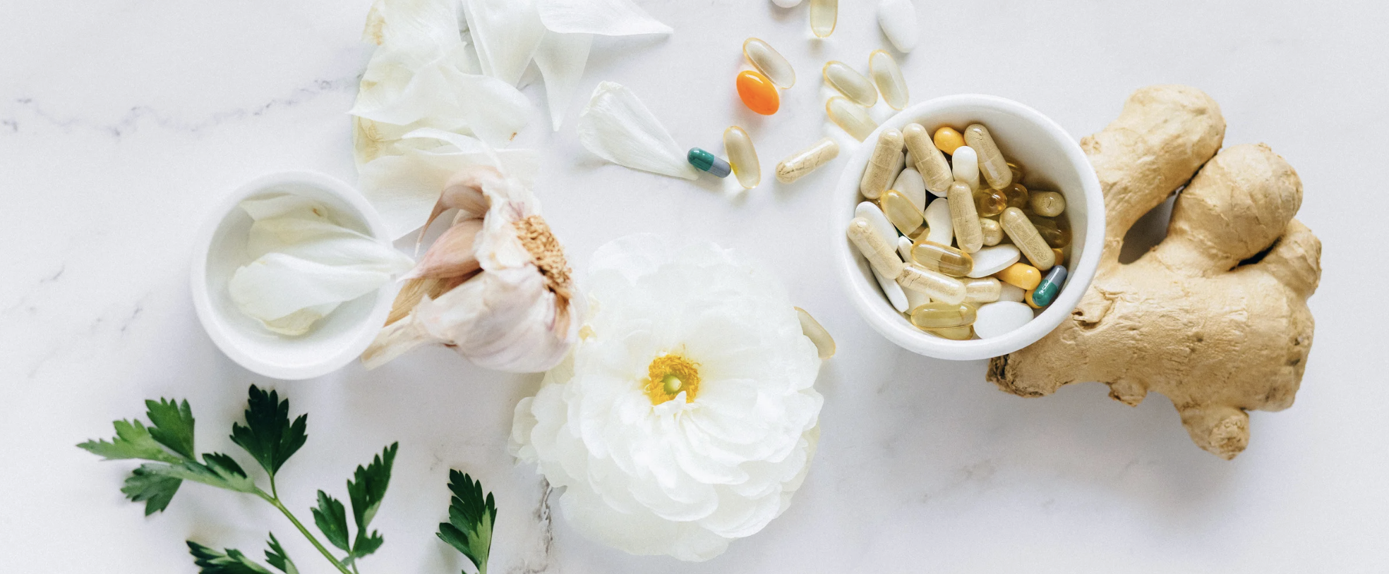 Screenshot 2026-03-03 at 12.58.28 PM