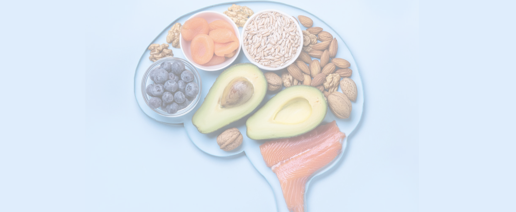 Gut Brain Axis